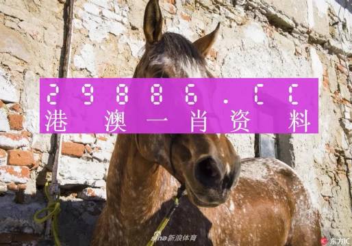 王中王资料一肖正特马，深度解析与探讨，王中王资料一肖正特马深度解析与探讨报告
