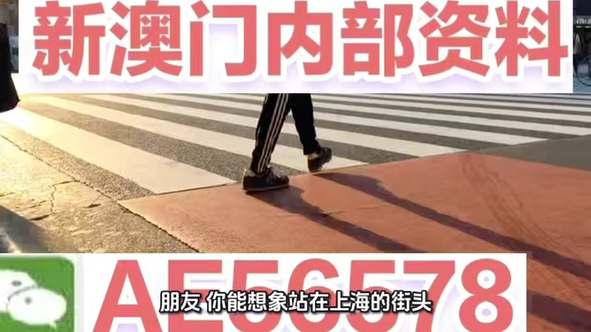 探索未来之门，今晚澳门特马开启新篇章，澳门特马开启未来之门新篇章