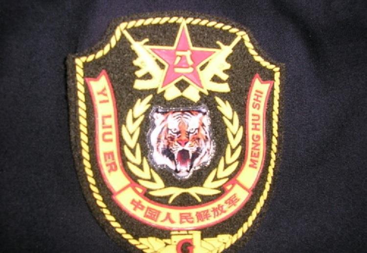 揭秘神秘的飞虎师，臂章背后的荣耀与传奇故事，飞虎师臂章背后的荣耀与传奇故事揭秘
