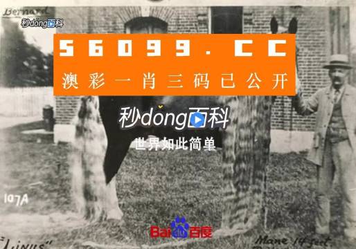 王中王资料心水一肖中特——探索神秘预测世界，王中王资料揭秘，探索预测世界的神秘心水一肖中特