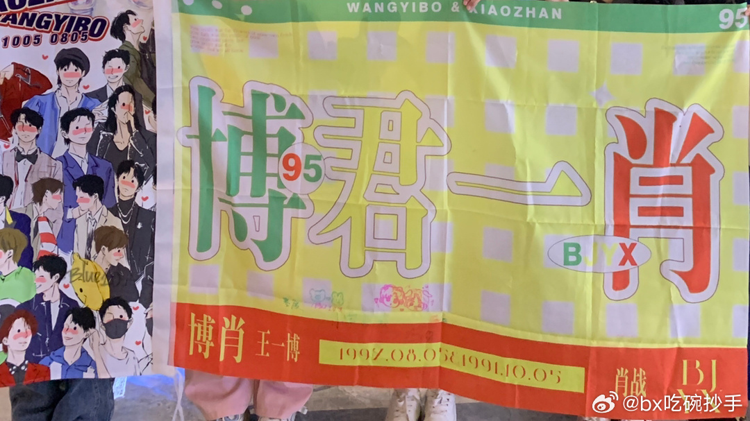 一肖中特王中王一肖中的奥秘与魅力，一肖中特王中王，揭秘生肖奥秘与独特魅力