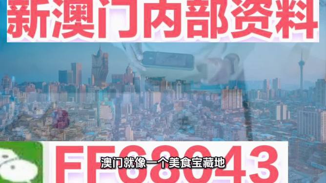 2025新澳精准资料大全——探索未来的关键资源，2025新澳精准资料大全，揭秘未来关键资源全貌