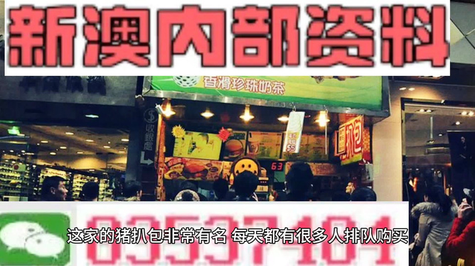 2025新澳精准资料大全，探索未来之门的钥匙，2025新澳精准资料大全，揭秘未来之门的钥匙