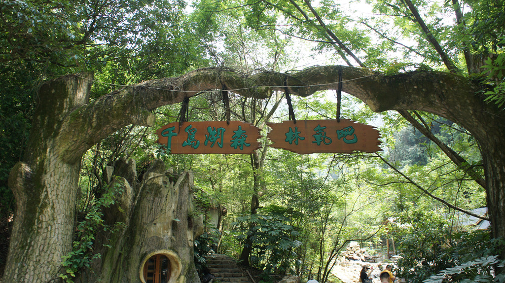 千岛湖森林氧吧，自然之韵，生命之息，千岛湖森林氧吧，自然之韵，生命脉动