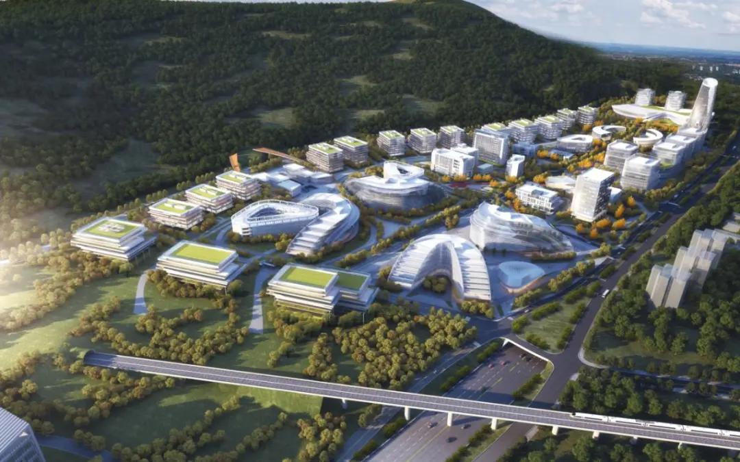 今天重庆的1大新闻事件，重庆今日重大新闻事件揭秘