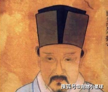 刘伯温精选一肖大公开一63o，历史、智慧与传奇的交融，刘伯温精选生肖传奇，历史、智慧与传奇交融的63o故事