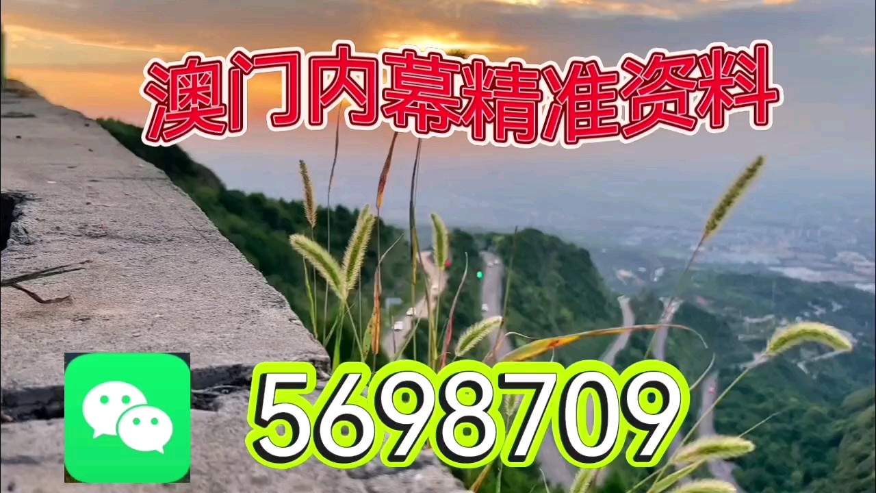 新澳门一肖一马平特大全，探索与解读，澳门新一期一肖一马平特大全，解读与探索指南