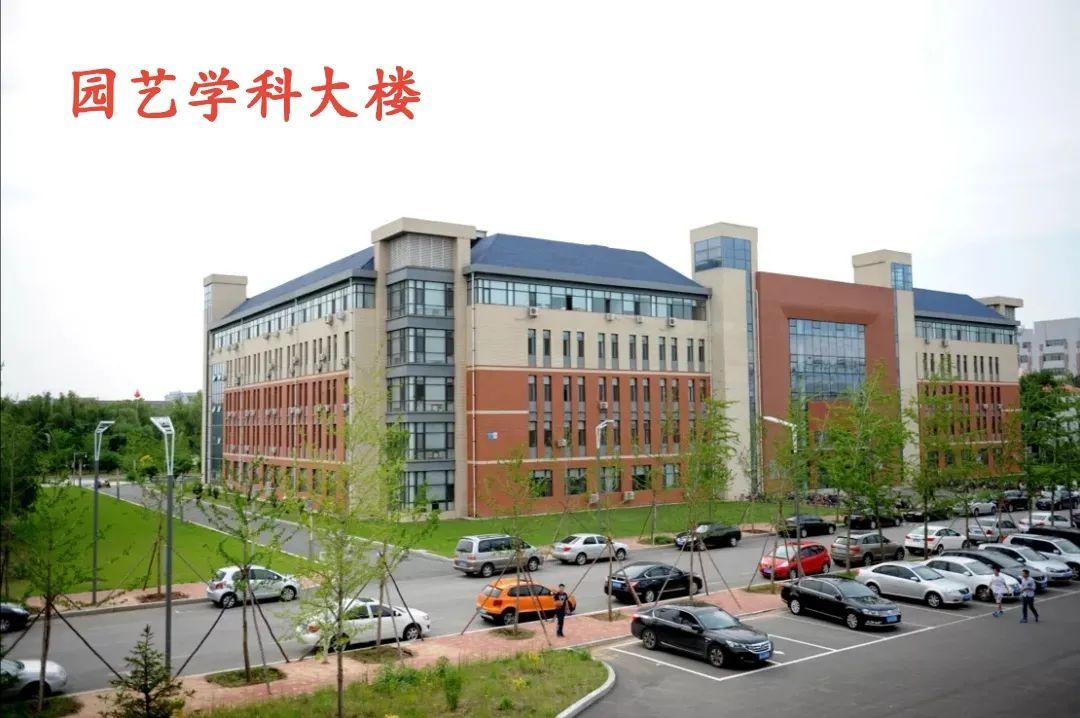 中央7台，农业与军事的交织展现，中央7台，农业与军事的交融展现