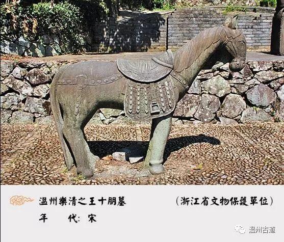 状元红高手坛，探索一个神秘的网络世界，状元红高手坛，神秘网络世界的探索之旅