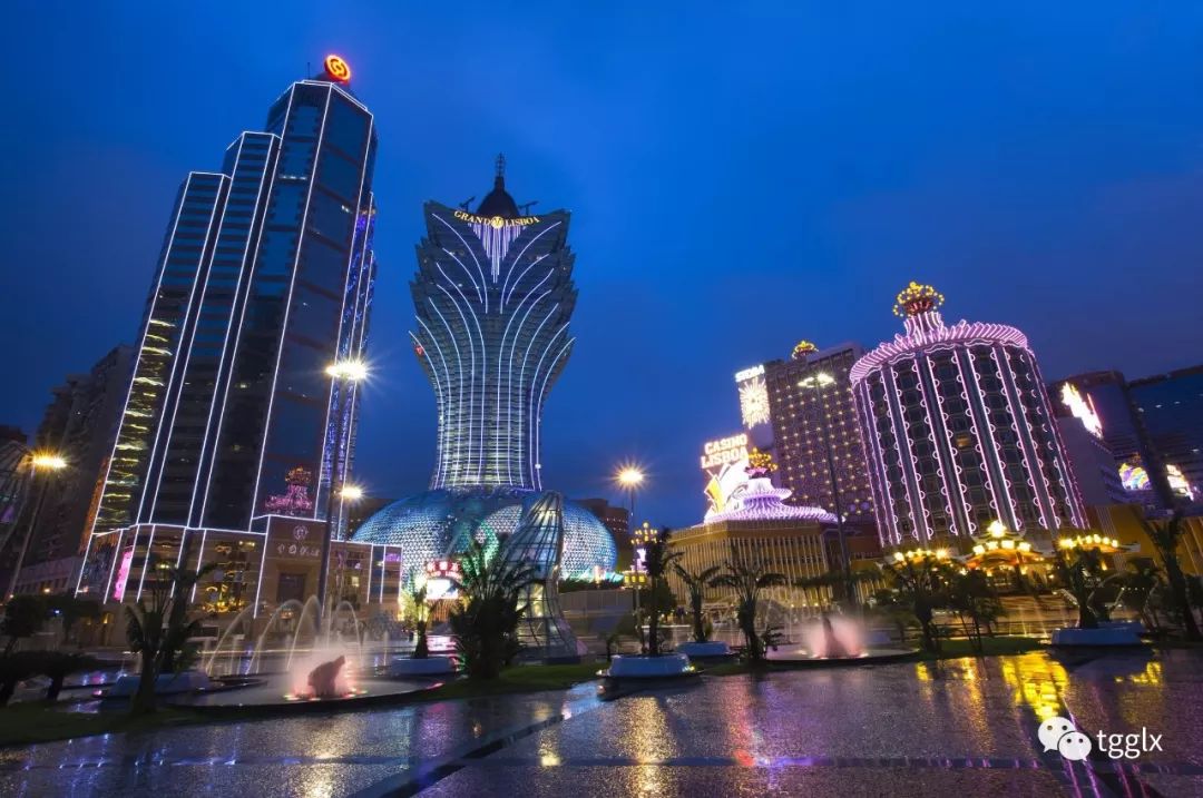 探索新澳门，免费娱乐的厦门之旅到2025年，探索新澳门，厦门免费娱乐之旅展望至2025年