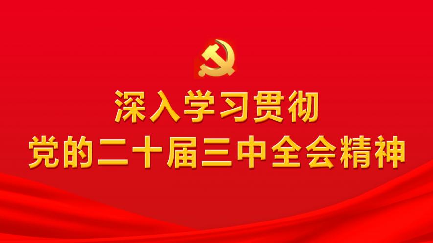 新闻摘要/概览