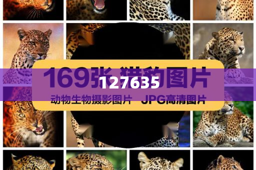 揭秘精准新传真背后的秘密，解码数字77777与88888的力量，揭秘数字传真背后的秘密，解码数字77777与88888的神秘力量
