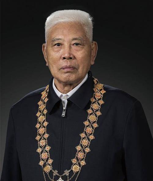 共和国勋章，致敬那些闪耀的英雄们，共和国勋章，致敬英雄光辉，铭记时代荣光
