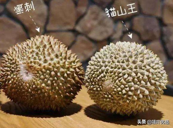 王中王与一肖码水果奶奶的故事，王中王与水果奶奶的一肖码故事