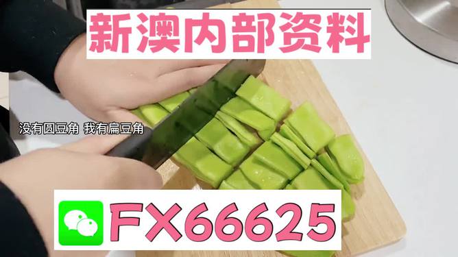 新澳精准资料，助力决策与成长的无价之宝，新澳精准资料，决策与成长的得力助手