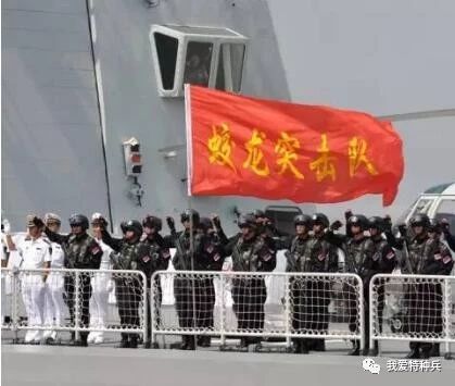 蛟龙突击队肩章，荣耀与责任的象征，蛟龙突击队肩章，荣耀与责任的标志