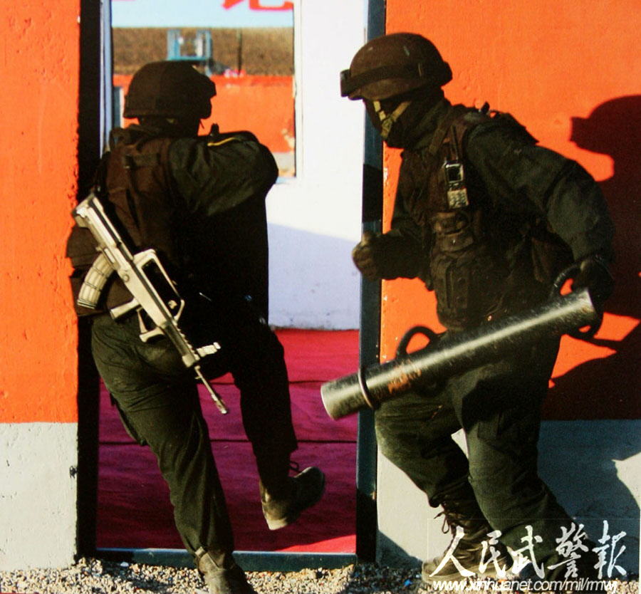 武警雪豹突击队旗，荣耀与力量的象征，武警雪豹突击队旗，荣耀与力量的不灭象征