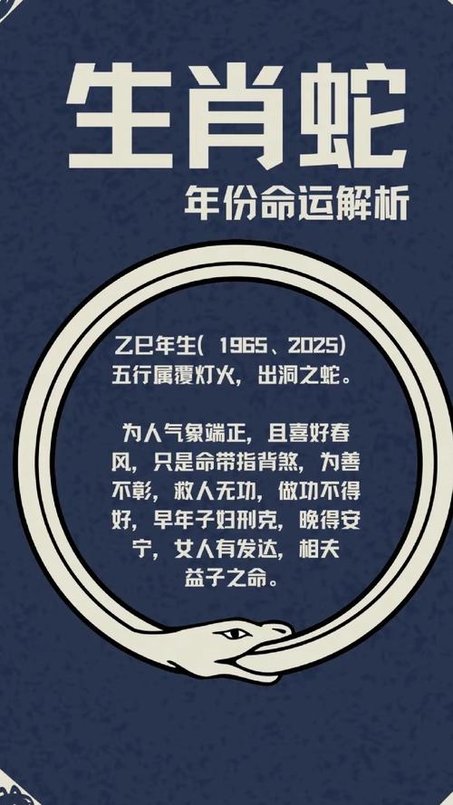 2025全年资料免费大全，优势生肖的独特价值，揭秘优势生肖独特价值，2025全年资料免费大全