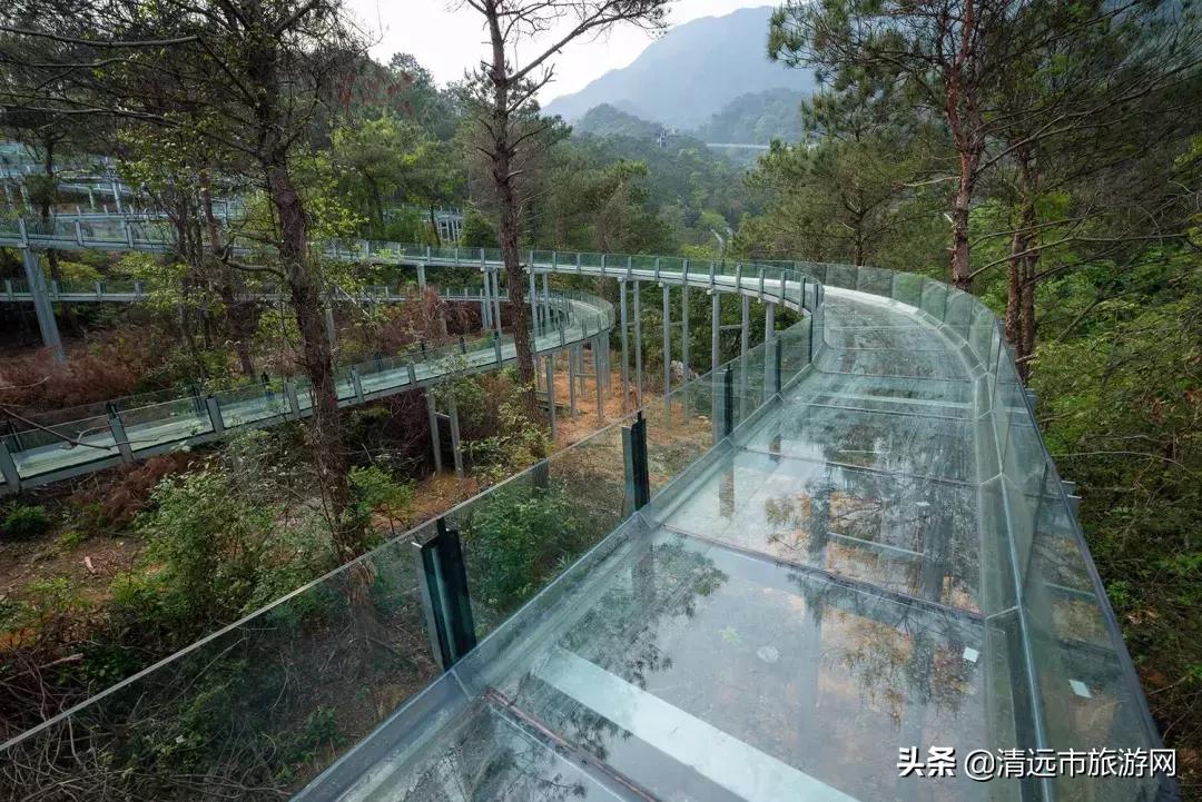 气垫船的动力系统研究，气垫船动力系统深度研究