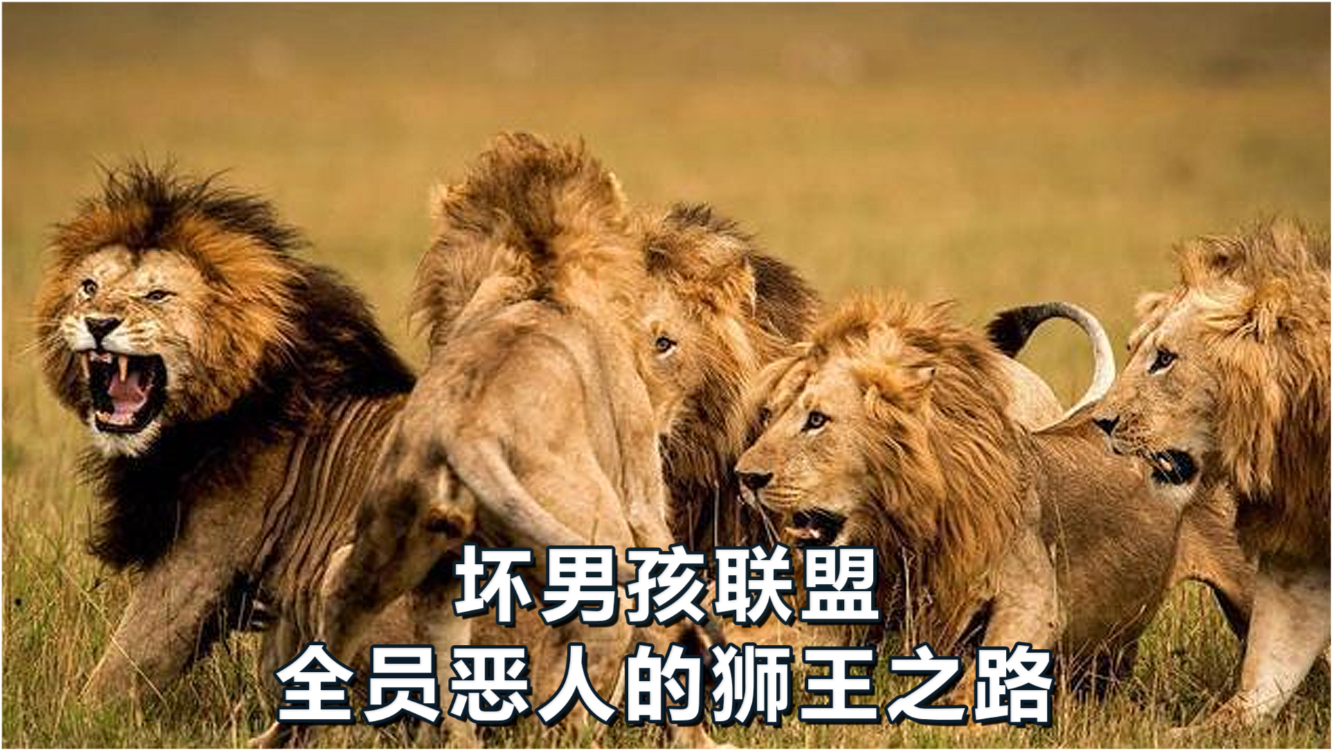 彩票背后的神秘力量
