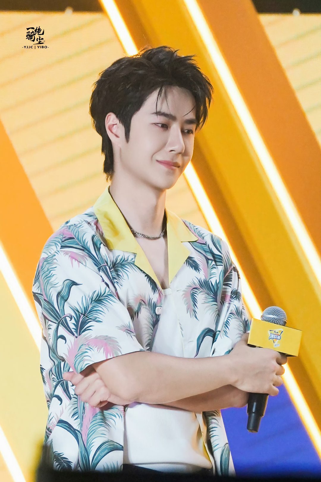 包租婆平特王中王一肖,一个传奇故事的诞生与传承,传奇故事,包租婆平特王中王一肖的诞生与传承