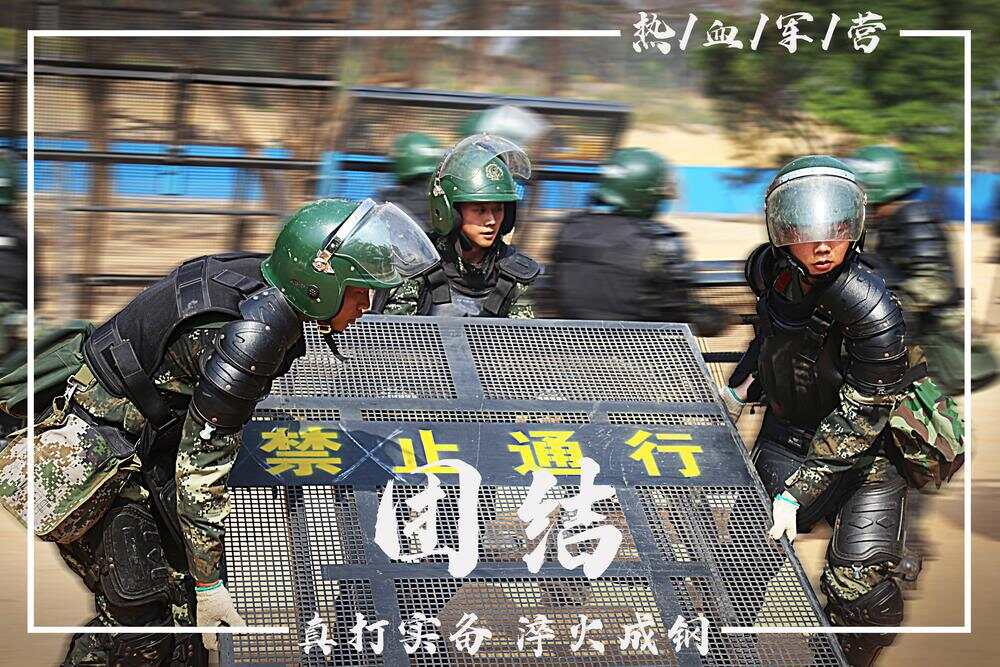 发展与变迁