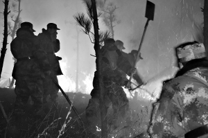 湖北黄陂空降兵，英勇之师的壮丽篇章，湖北黄陂空降兵，英勇之师的荣耀篇章