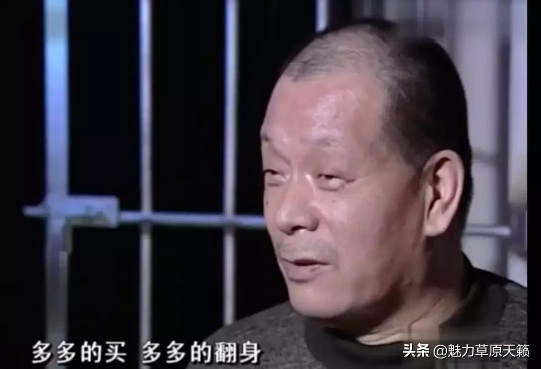 四肖四码中特期期准，探索预测的准确性及背后的逻辑，四肖四码中特期期准，预测准确性及背后逻辑探索