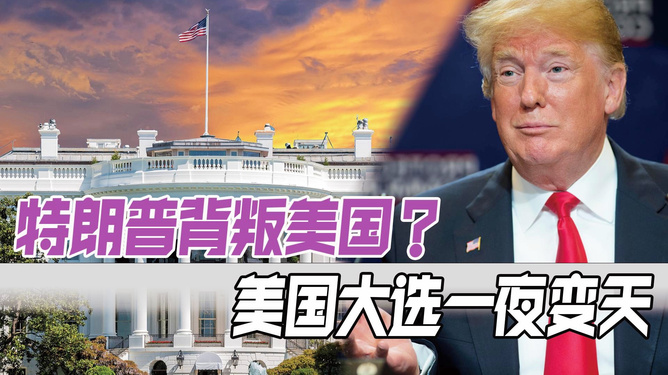 美国局势一夜变天，深度解析与前景展望，美国局势突变，深度解析及前景展望