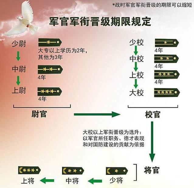 条件与要求解析