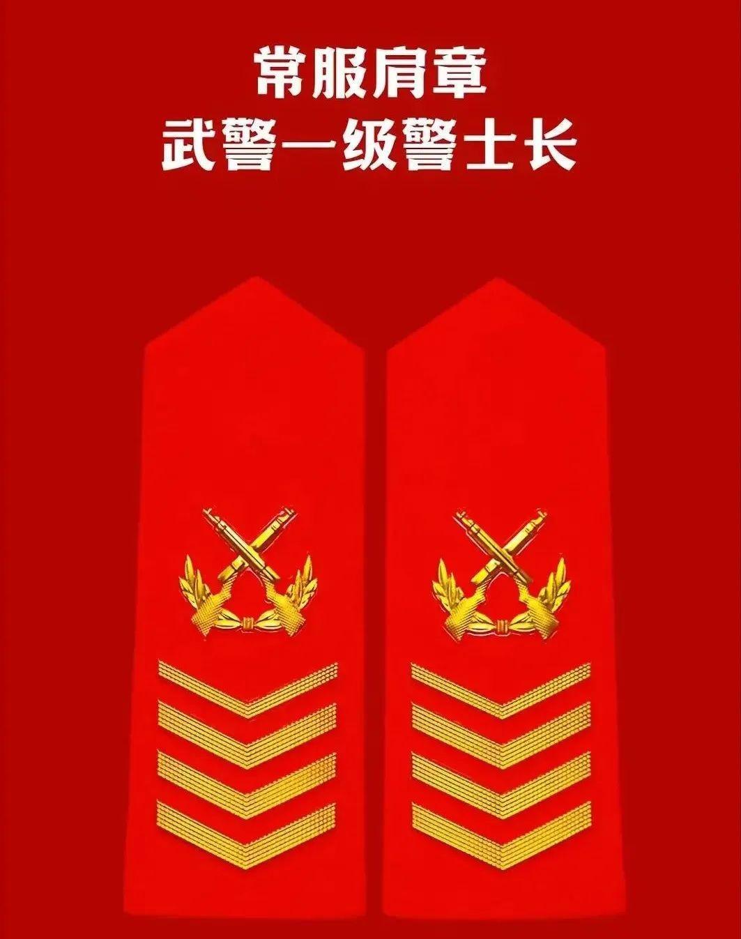 探究21式专武干部肩章的独特魅力与意义，揭秘21式专武干部肩章的独特魅力及其意义解析