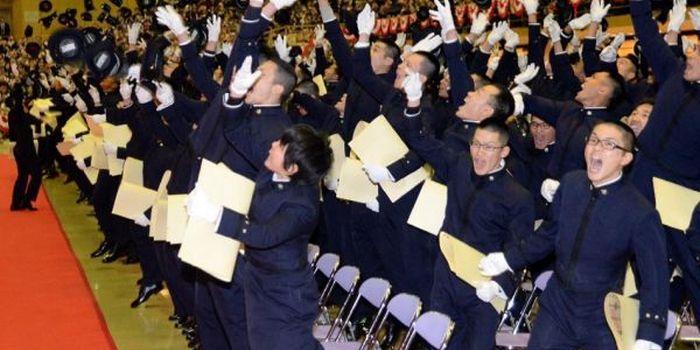 军事综合信息网的定义及其重要性，军事综合信息网定义及其重要性概述