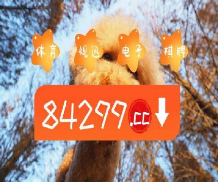 彩票文化魅力与责任探索