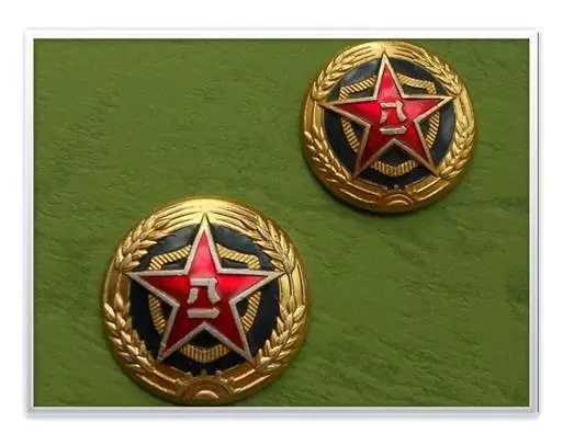 武警换发新帽徽,重塑形象,展现新时代风采,武警换发新帽徽,展现新时代风采与形象重塑