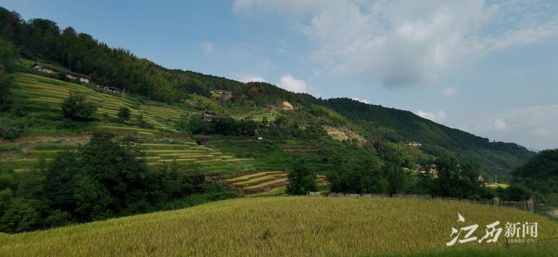 江西遂川新闻头条，县域发展的活力与机遇，江西遂川新闻头条，县域发展的活力与机遇展望
