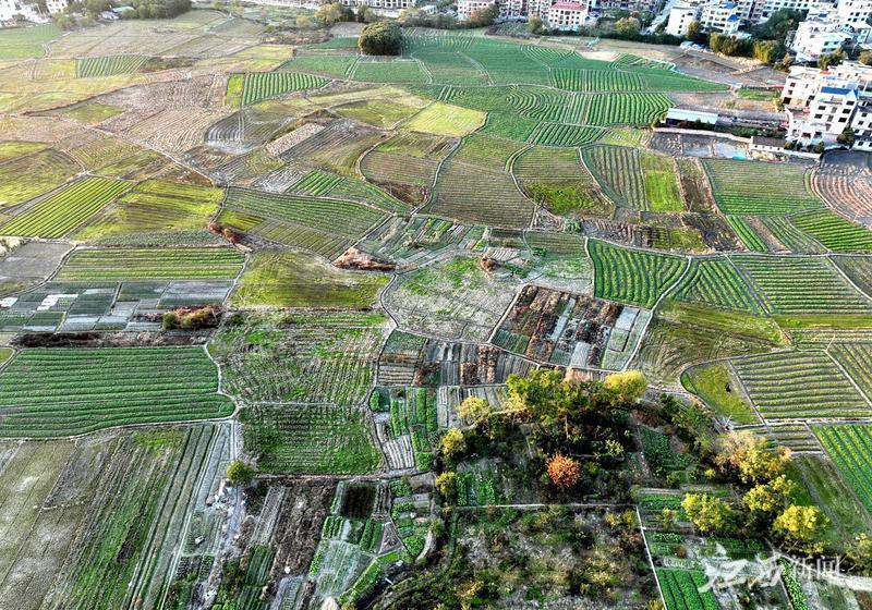 江西遂川新闻头条,县域发展的活力与机遇,江西遂川新闻头条,县域发展的活力与机遇展望