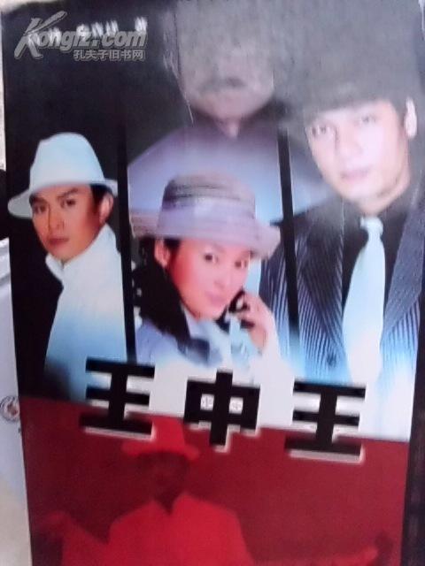 王中王资料一肖中特家婆,深度解析与探究,王中王资料与家婆深度解析与探究