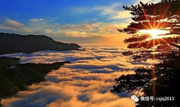 美不胜收,探寻其深层含义与实际应用,美不胜收,深层内涵及实践探索