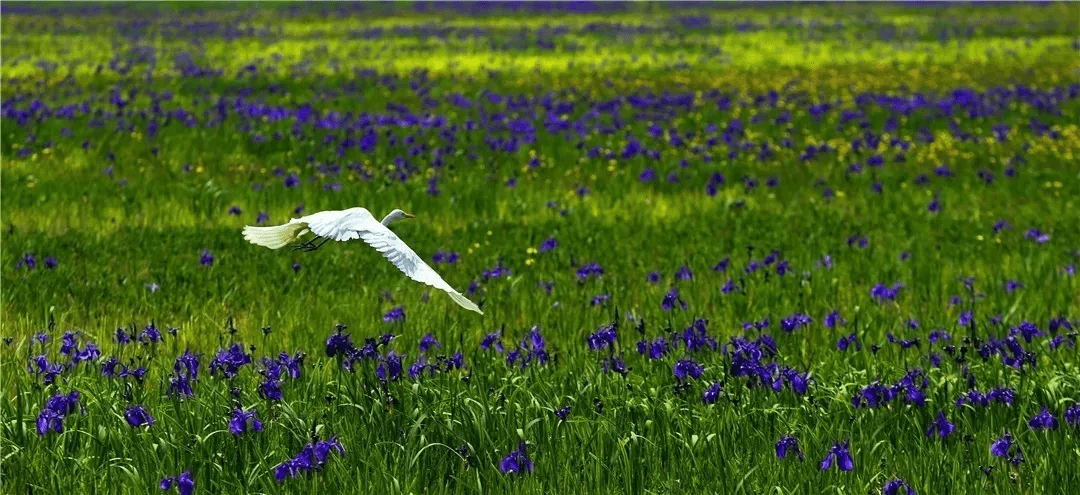 美不胜收,探寻其深层含义与实际应用,美不胜收,深层内涵及实践探索