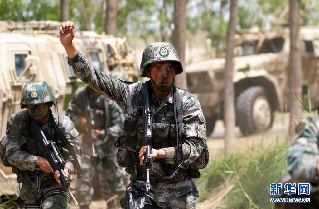 陆军第六十四集团军的荣耀与担当，陆军第六十四集团军的荣耀与担当，历史传承与时代责任