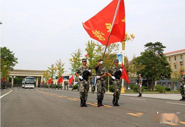 关于中国人民解放军陆军原第38集团军取消的研究，中国人民解放军陆军原第38集团军取消深度解析