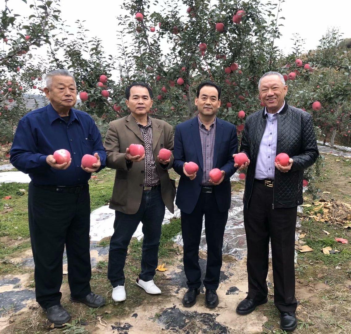 印度尼西亚军事,历史、现状与发展展望,印度尼西亚军事,历史、现状与未来展望