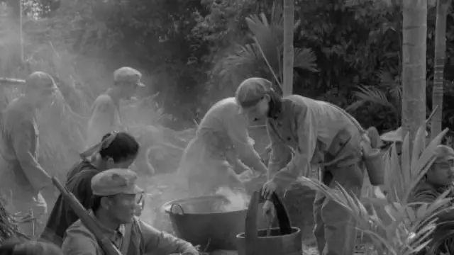 四十军海南岛战役,英勇无畏的壮举与战略意义深远的历史篇章,四十军海南岛战役,英勇壮举与深远战略意义的历史篇章