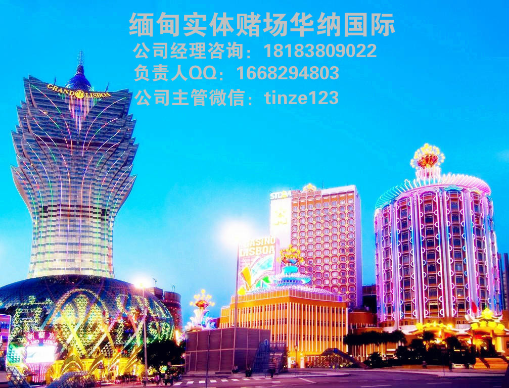 澳门8期必开一肖