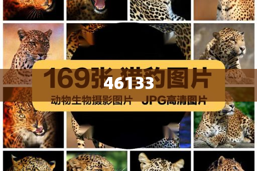 揭秘最精准一肖,探寻百分之百准确预测之真谛,揭秘百分百准确预测一肖的真谛,探寻预测真谛,揭秘精准生肖预测秘籍