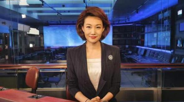 中央新闻主持人的工资每月多少，揭秘与探讨，揭秘中央新闻主持人月工资水平，深度探讨与解析