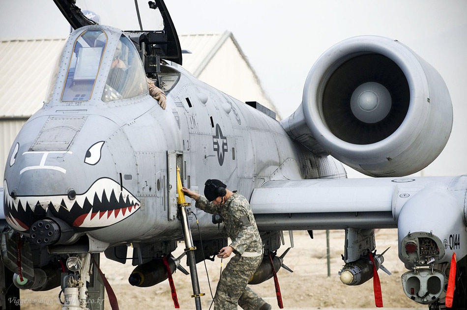 A10疣猪的历史,探寻一种独特物种的演变之旅,探寻A10疣猪的历史演变之旅