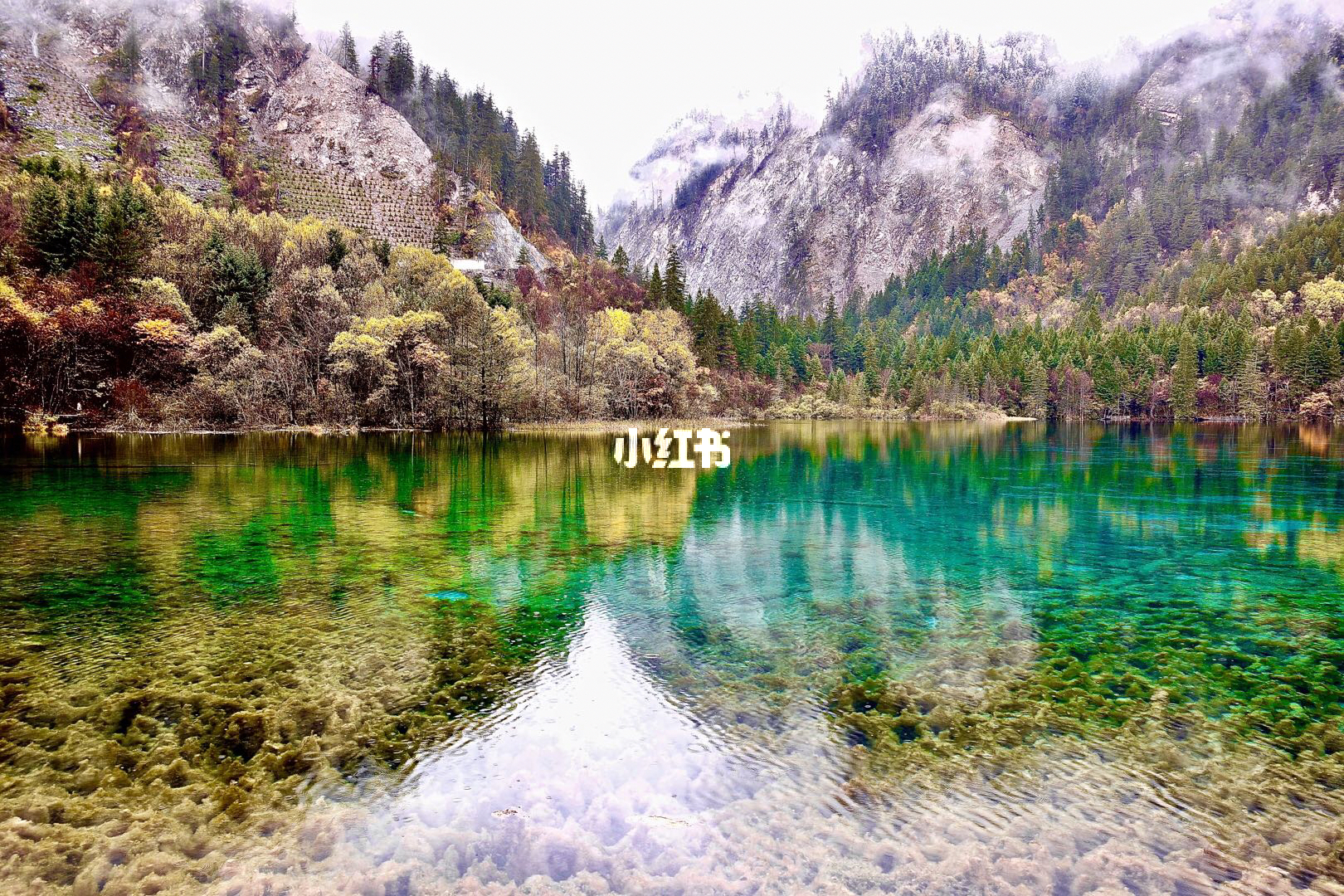 美不胜收——探索无尽之美,探索无尽之美,美不胜收之旅