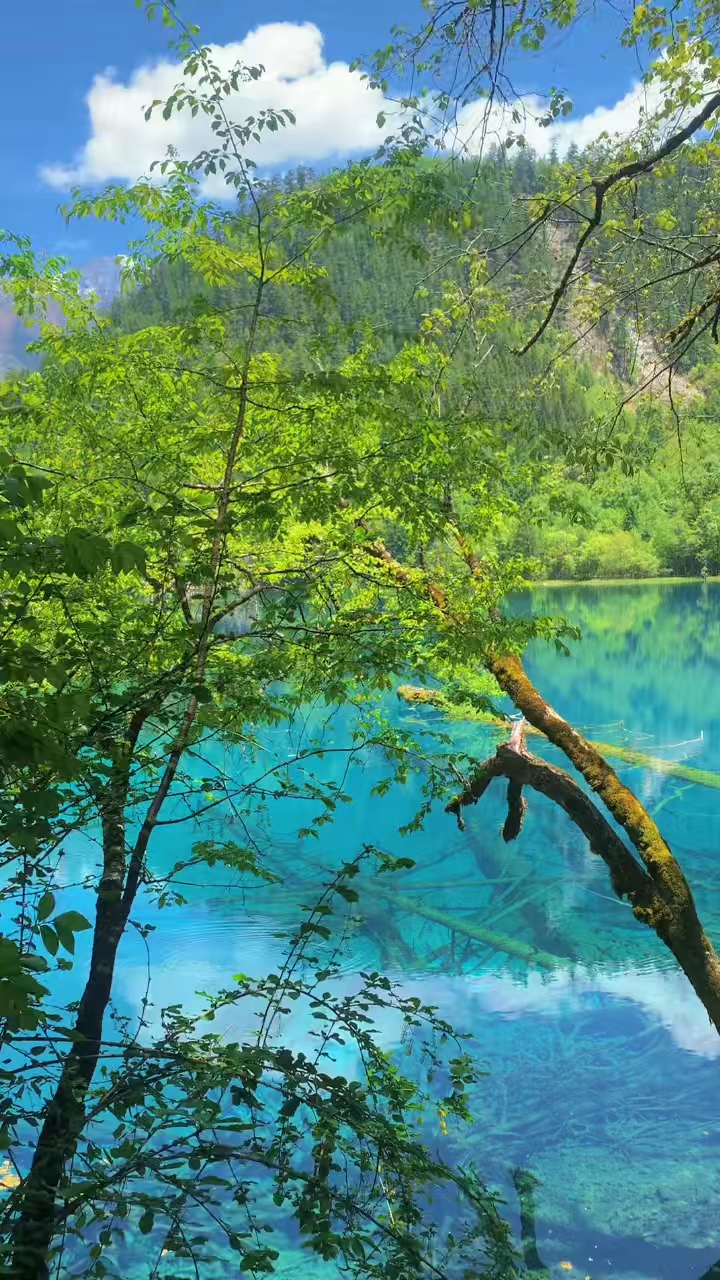 美不胜收——探索无尽之美,探索无尽之美,美不胜收之旅