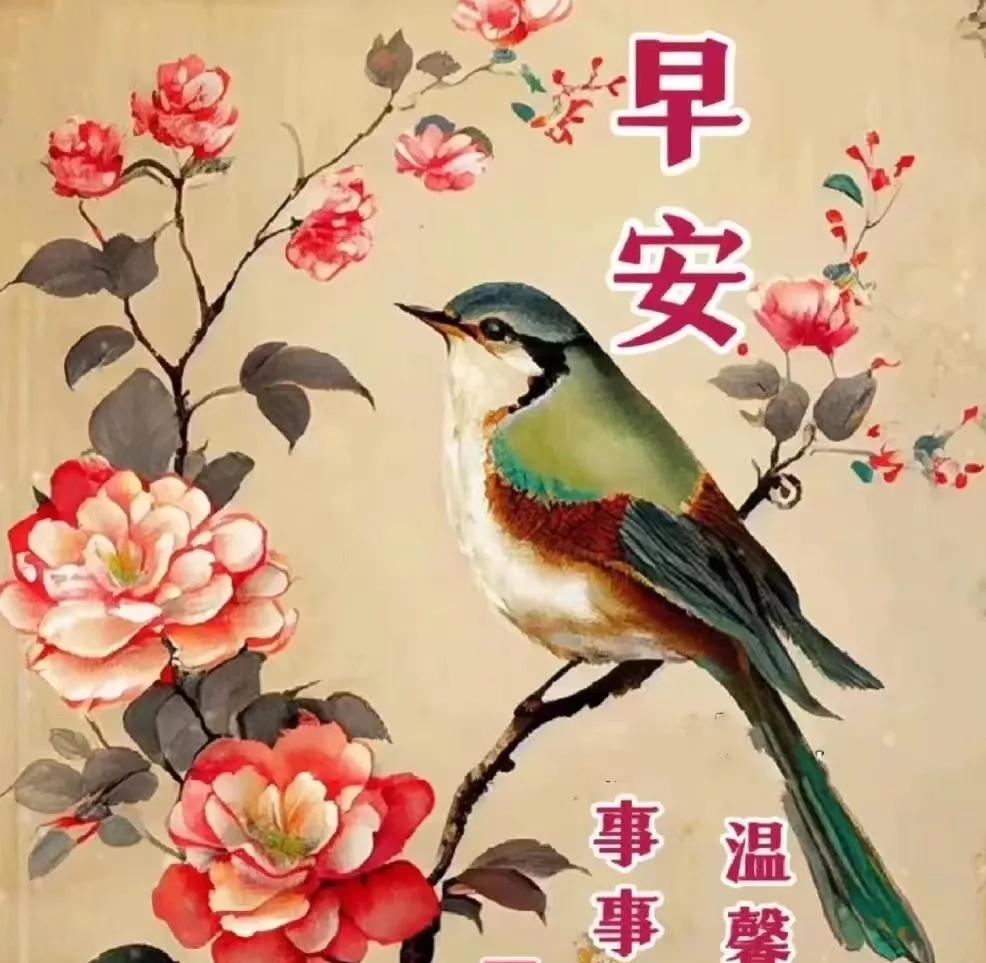 全球动态速递